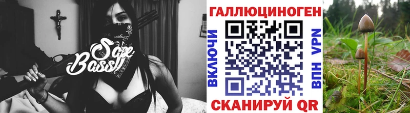 закладка Алейск Галлюциногенные грибы Cubensis